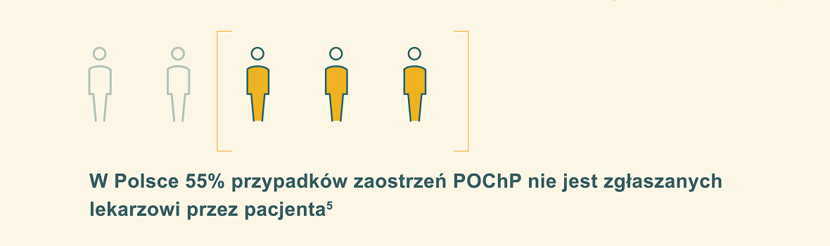 polsce-55-image